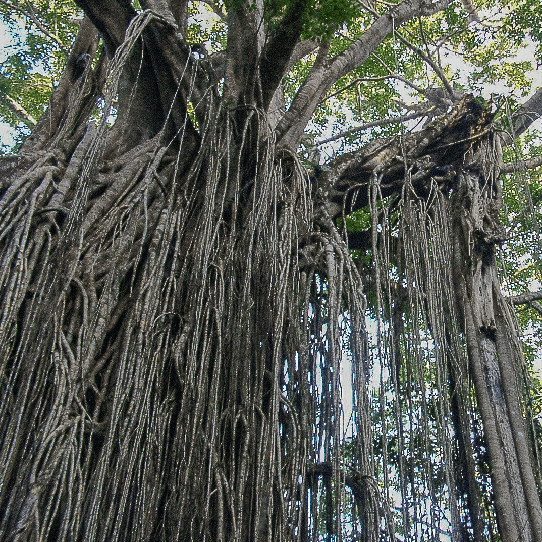 How to Modernize Legacy Systems Without Breaking Everything